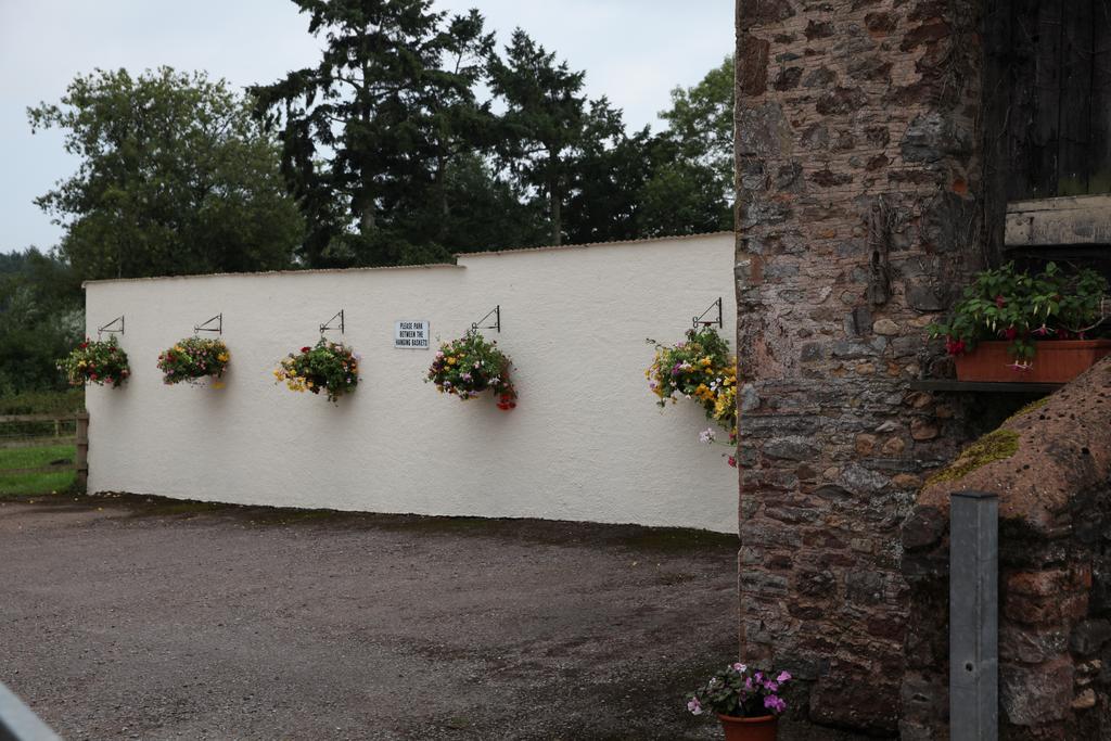 Weir Mill Farm Bed and Breakfast Cullompton Εξωτερικό φωτογραφία