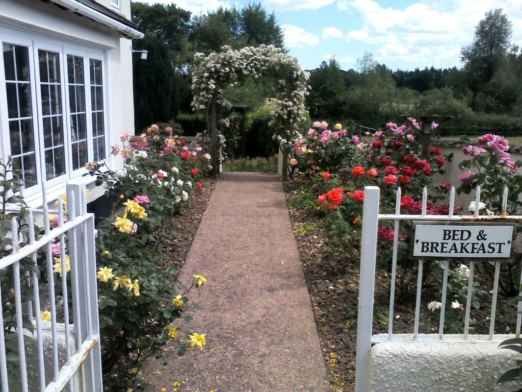 Weir Mill Farm Bed and Breakfast Cullompton Εξωτερικό φωτογραφία